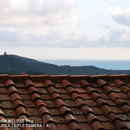 Il Nespolo Villa Castagneto Carducci Dış mekan fotoğraf